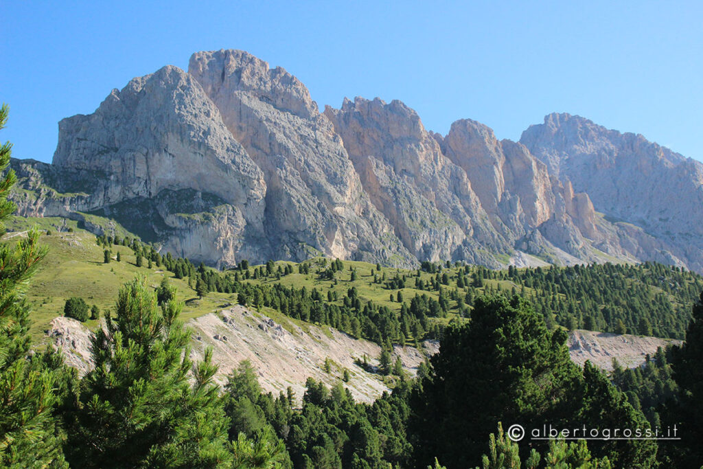 IMG_2529-1024x683
