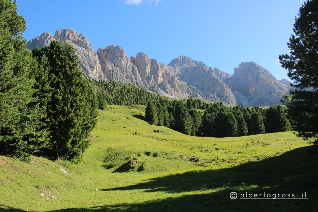 IMG_2532-1024x683