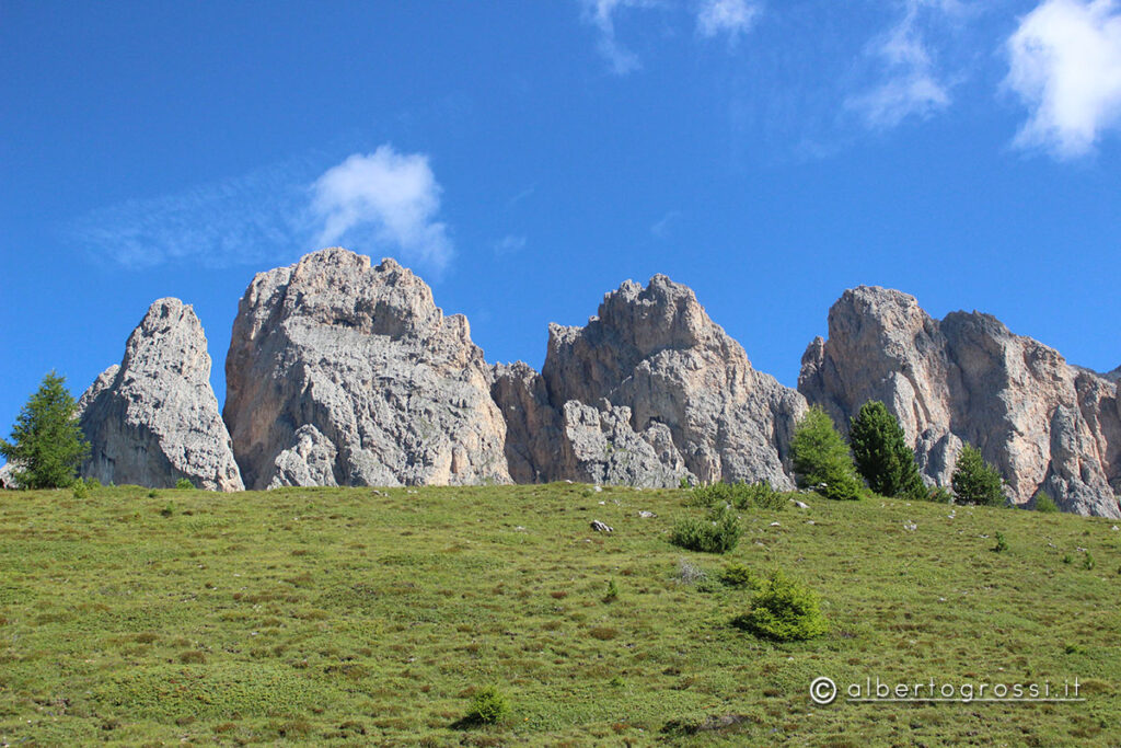 IMG_2539-1024x683