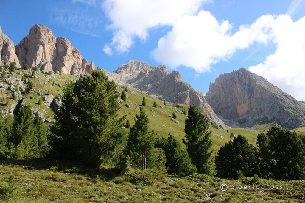 IMG_2542-1024x683