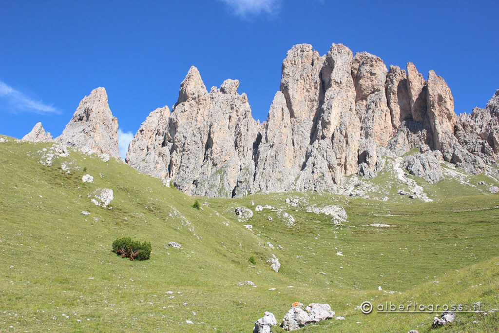 IMG_2550-1024x683