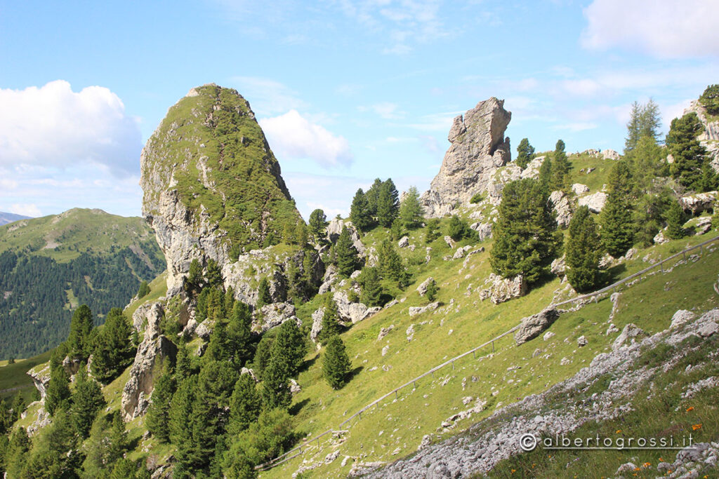 IMG_2555-1024x683